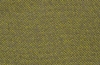 Vision 07 mustard