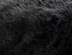 Dekorační polštářek Samba 595 anthracite