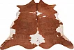 Kusový koberec Toledo 195 brown