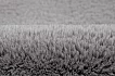 Heaven 800 silver kruh
