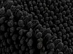Předložka do koupelny Fluffy 700 black
