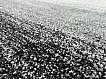 Kusový koberec Aspect 1726 grey